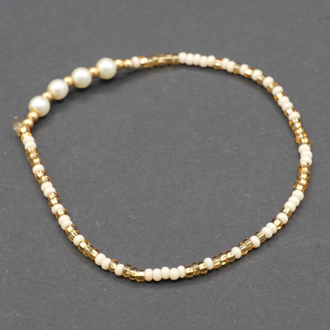 メキシコ産　チャキーラ 2