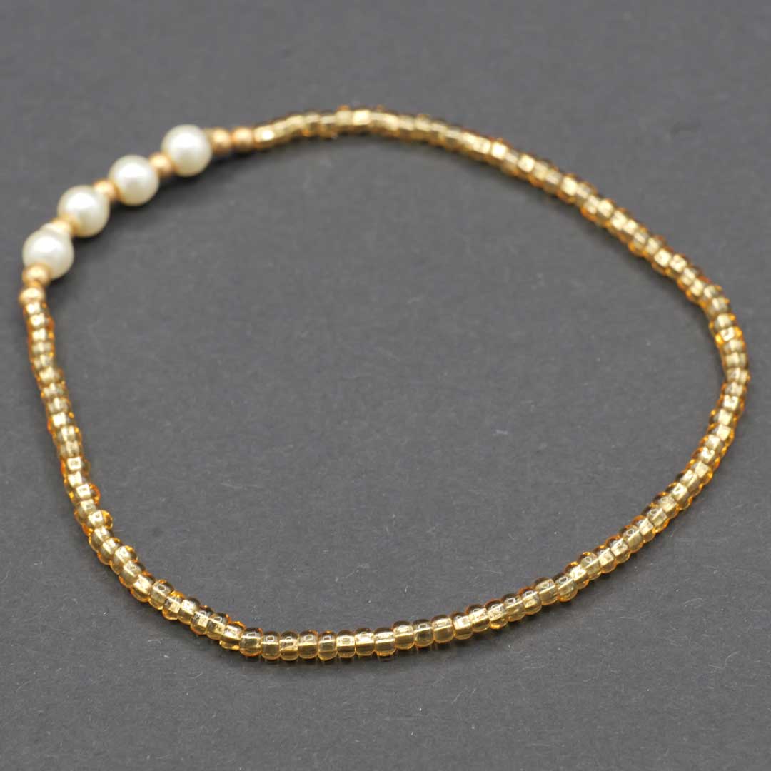 メキシコ産チャキーラ 2