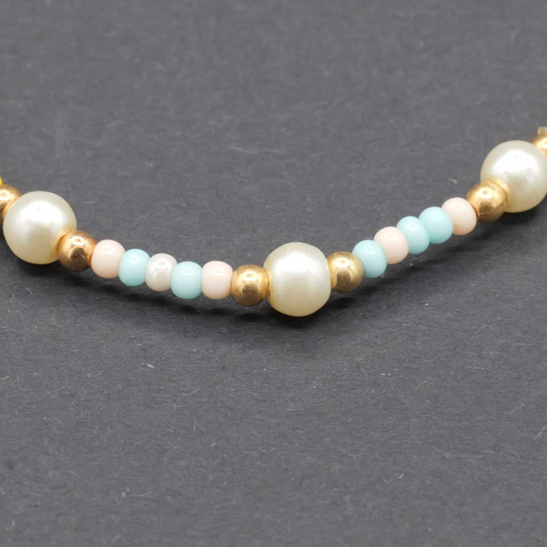 メキシコ産チャキーラ 2